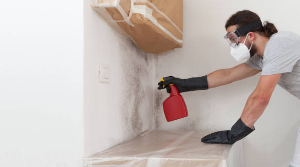 Professional Black Mold Remediation technician working in Higgins Lake, MI