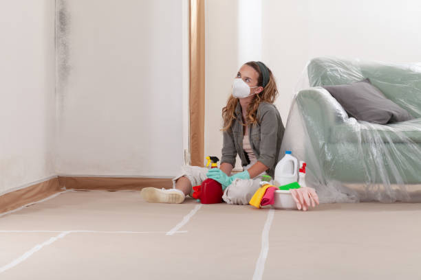 Reliable Black Mold Remediation contractor in Higgins Lake, MI by Car Mold Remediation
